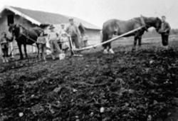 VÅRONN, ARDING OG HEST, BØRRE ALDERSLYST TIL HØYRE, THORKILD