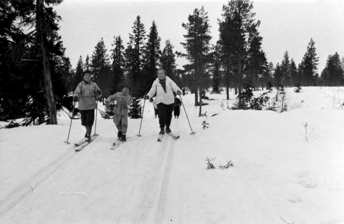 FRILUFTSLIV, Odd Kjell, Annar og Petra Skjegstad på ski, skitur