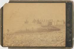 Hvalfangst på Svartnes, Vardø