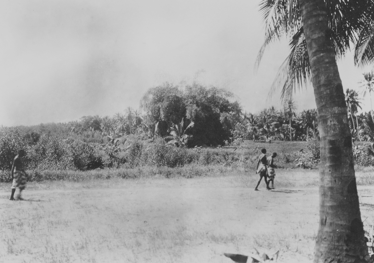 Mosambik. 1914. Tre afrikanske plantasjearbeidere tilknyttet Soc. du Madal i Quelimane-distriktet.