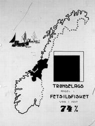 Grafisk fremstilling av Trøndelags andel i feitsildfisket