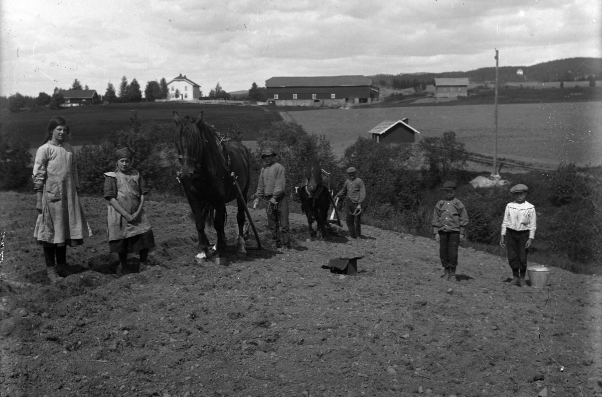Ringsaker, Svenihaug gård, våronn, setting av poteter, to karer med hest med ard, 4 ukjent barn