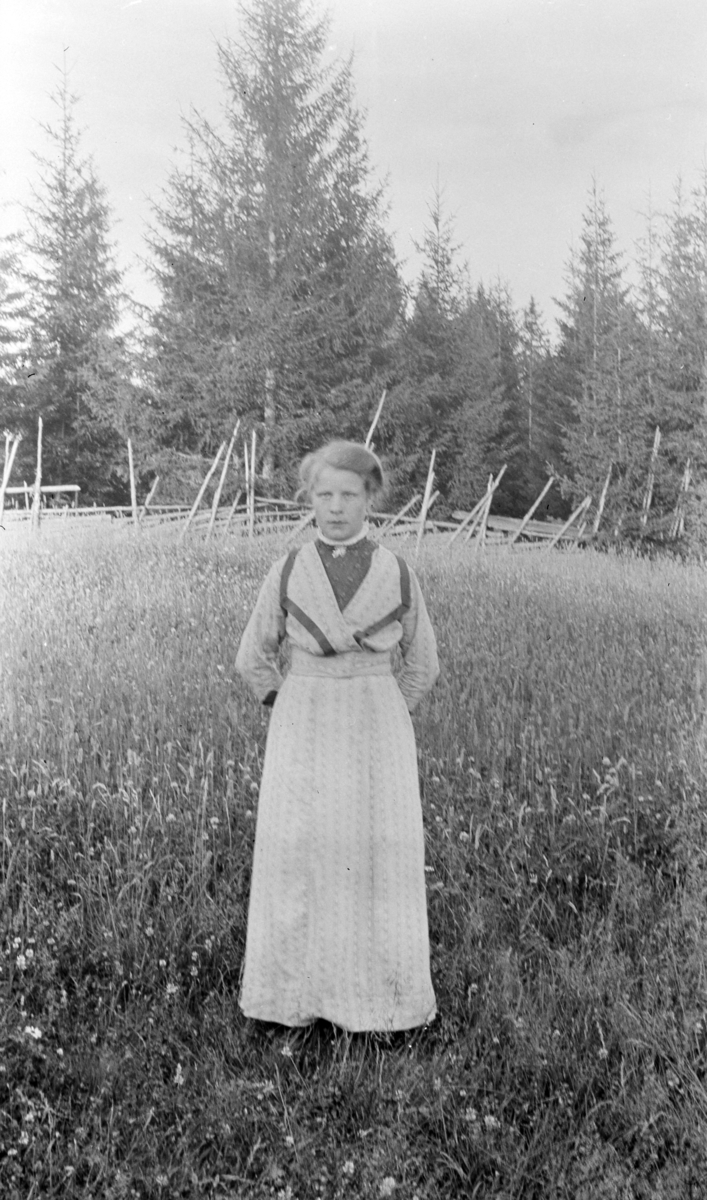 Portrett av budeie Anne Berg (1853-1931) på Borkerud, en plass under Kise østre, Nes, Hedmark.