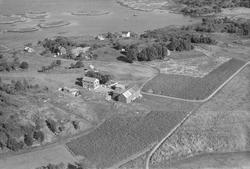 Gården Utset med eiendommene Sjøvold, Sjøhaugen og Aspelund.