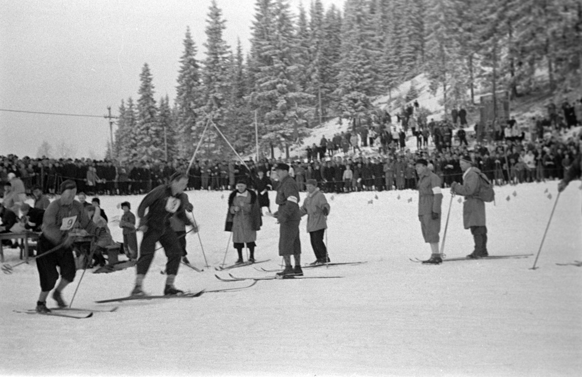 NM. Norgesmesterskap på ski, langrenn på Høsbjør i Furnes 1949. Skisport. Vinteridrett. Ukjent langrennsløpere. Lag nr. 9 veksler på stafetten. 