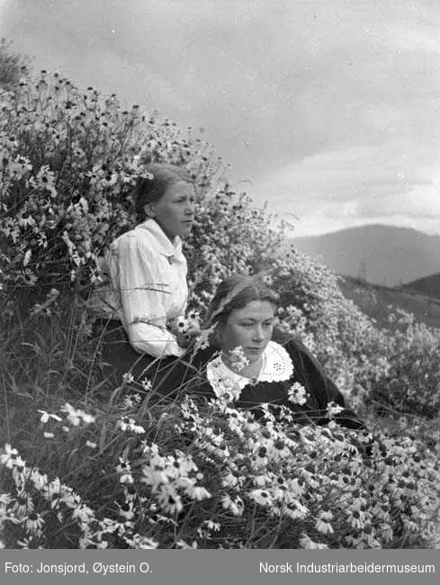 to unge kvinner i blomsterenga