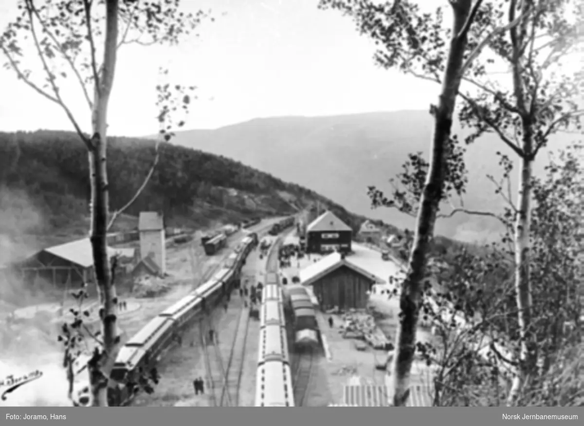 Dombås stasjon med kongetoget på stasjonen ved Dovrebanens åpning; foto fra tunneltaket