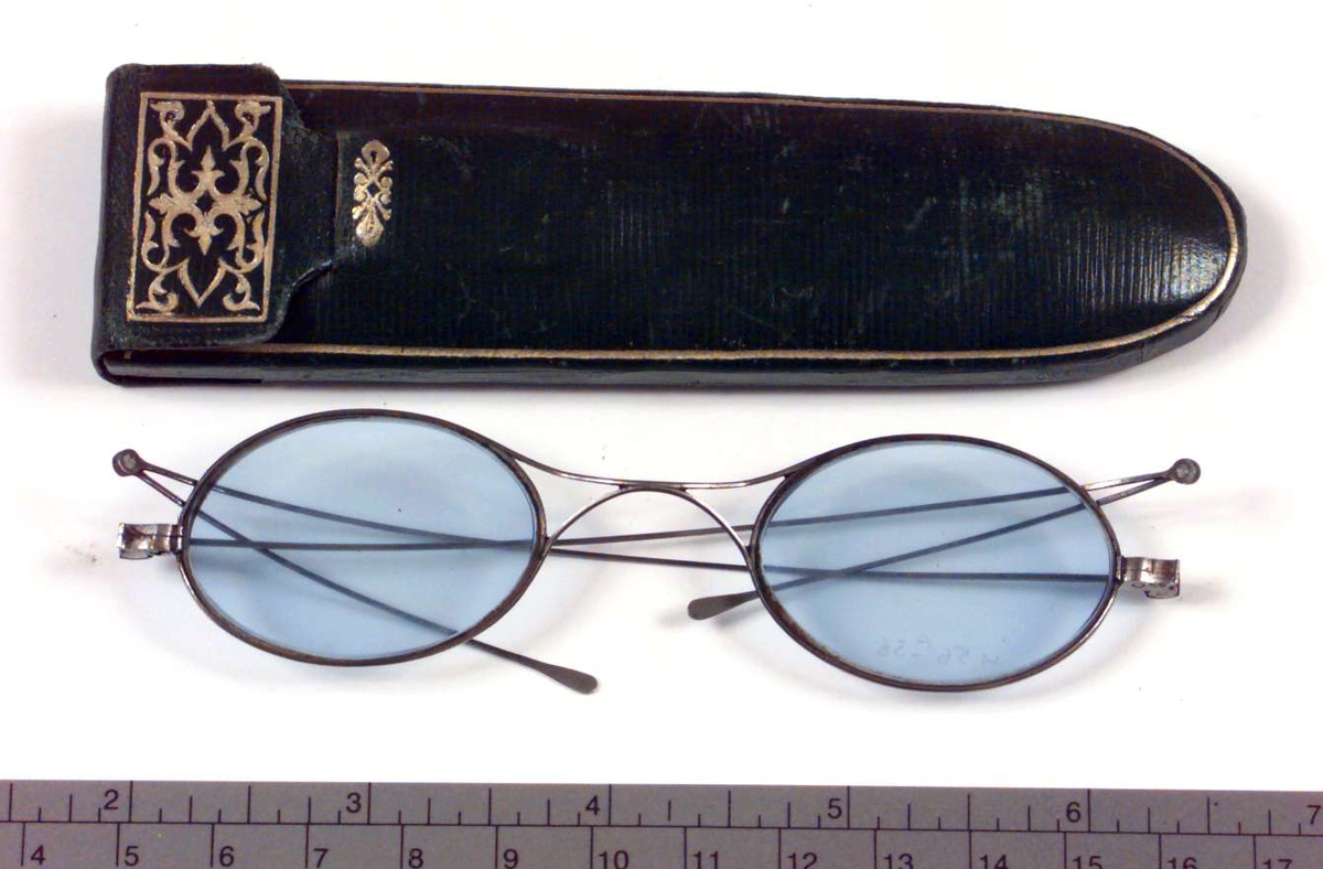 Briller, med brillehus