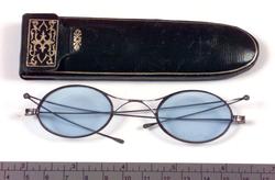 Briller, med brillehus