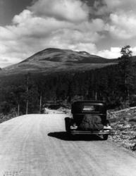 Landskap Samferdsel Bil Rondane