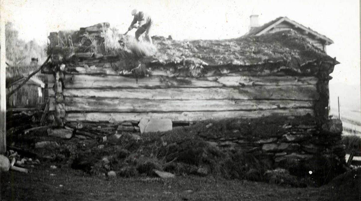 Engan, Os, Nord Østerdal, Hedmark 1941. Fjøs i tømmer og stein sett fra baksiden. Mann jobber på taket. Nå på Norsk Folkemuseum.