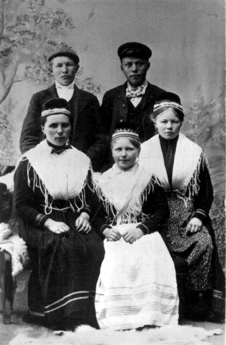 Portrett av John Andersen, Anders Henriksen, Marie Mikkelsen og to kvinner fra Skånland, ca. 1910.