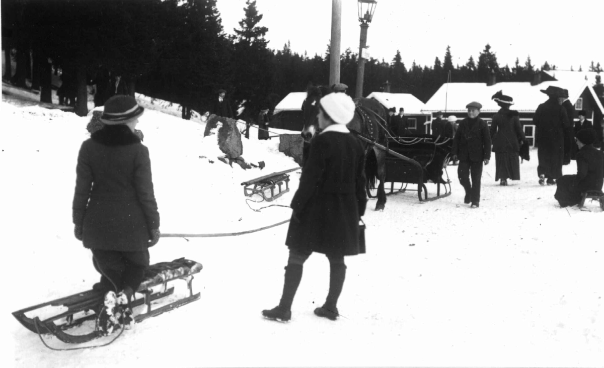 Kristiania (før l923). 1908-1910. Vintermotiv. Akende. Spaserende. Hest og slede. 
