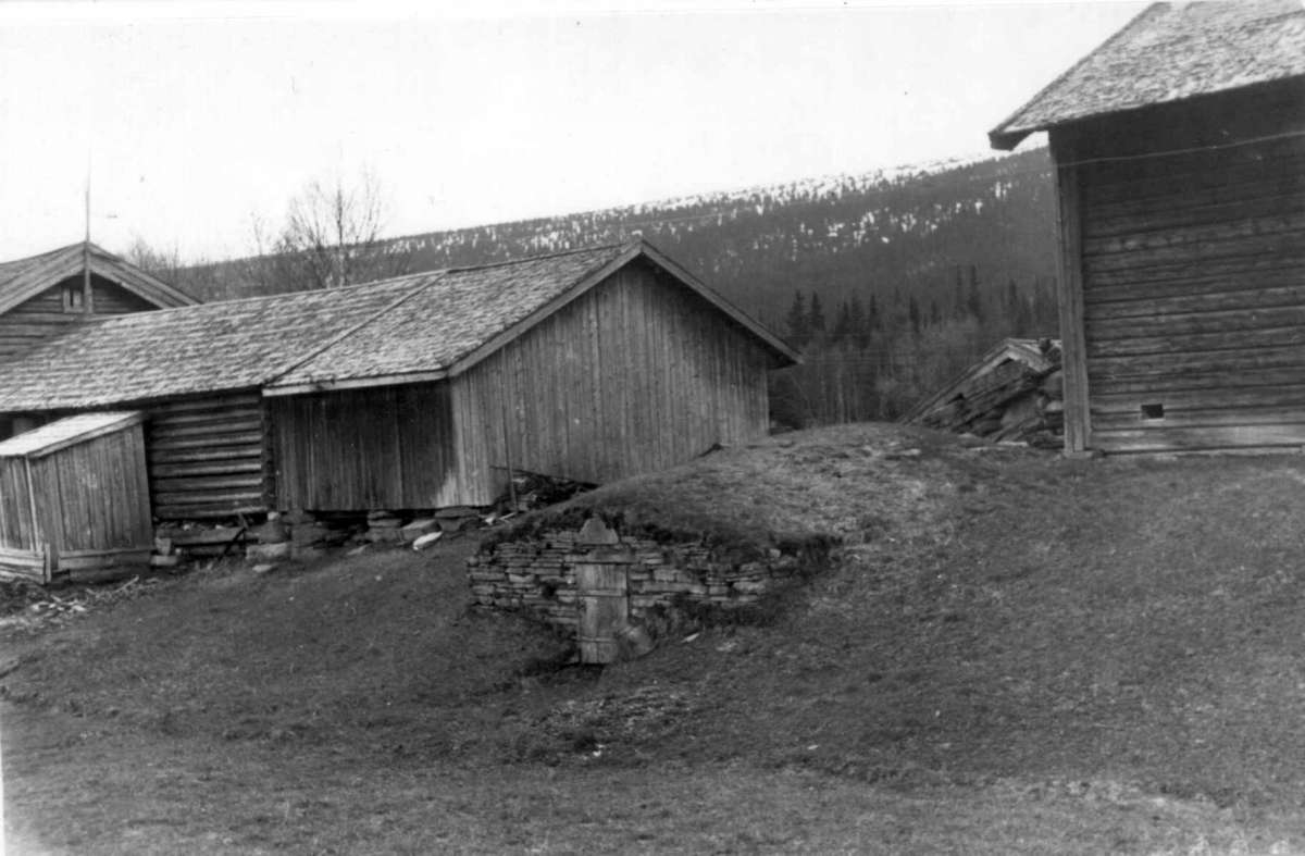 Skåret, Trysil, Hedmark mai 1950. Bygninger, låve og jordkjeller.