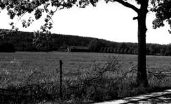 StumbergFra Storgårdsundersøkelsene v/ dr. Eivind S. Engels