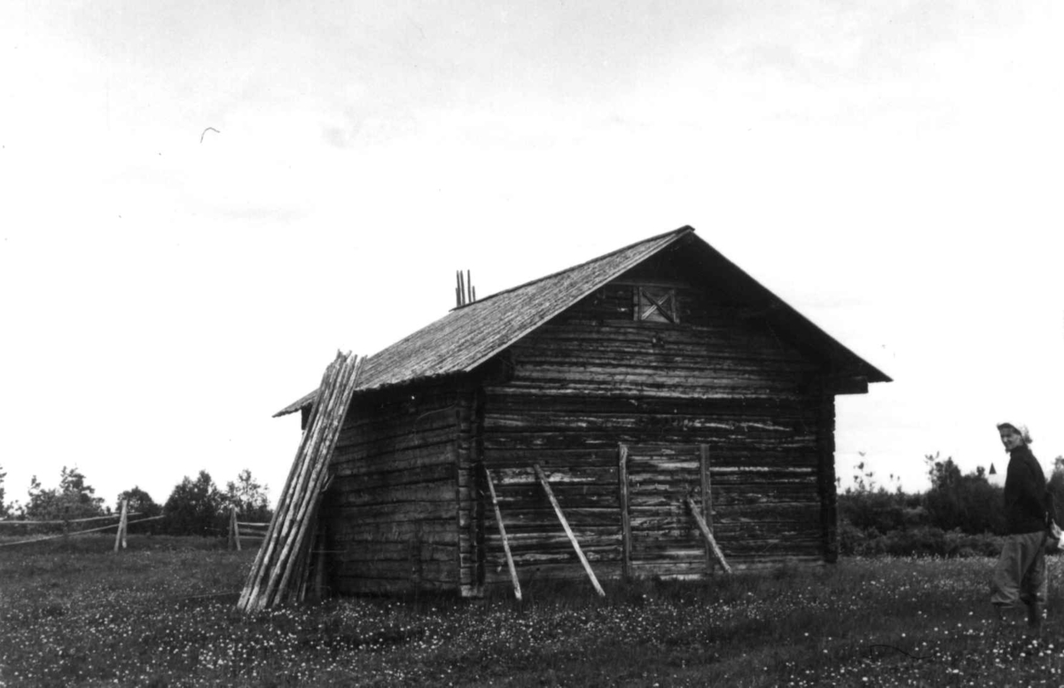 Ria eller Rovagården i Lainio i Sveriege i 1958. Bod for korntørk med tretak.
