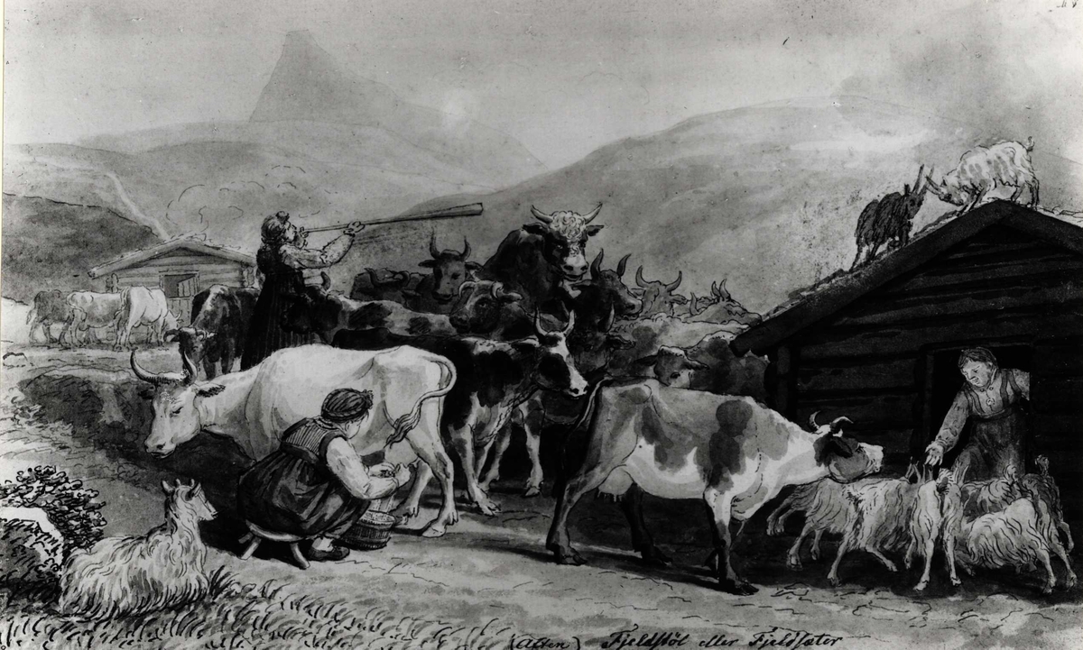 "(Aften). Fjellstøl eller fjellseter". Kuer, geiter og tre kvinner.  Akvarell av Johannes Flintoe. Fra serien "Scener af Reiselivet i Norge".