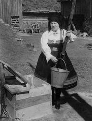 Vannhenting med brønnstang