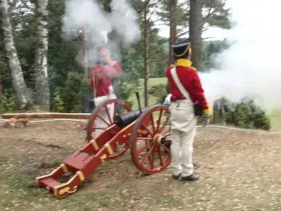 Avfyring av kanoner på markeringen den 9. august 2014.