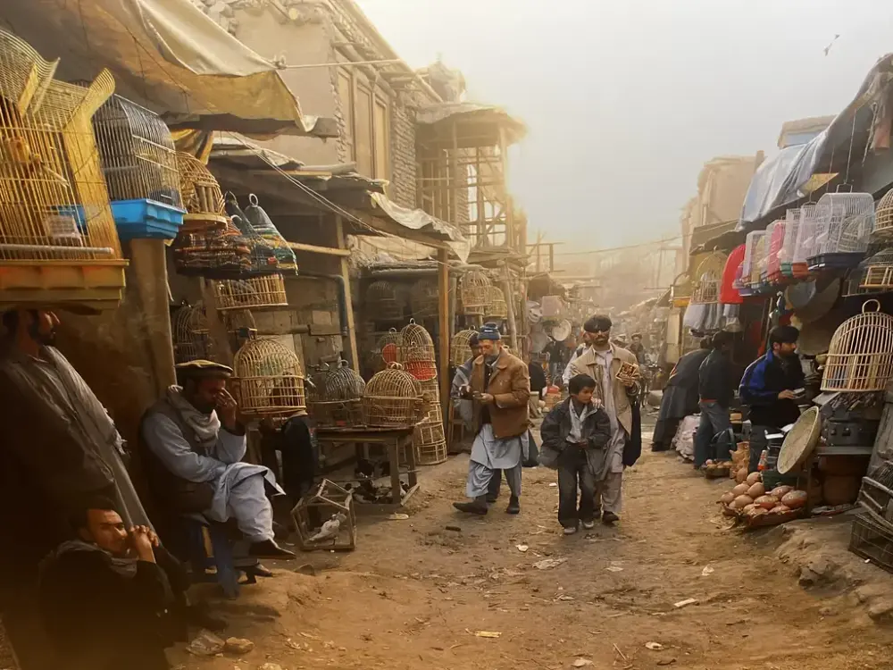 Foto av marked i Afghanistan. Trang grusvei med mennesker som ser på fugler i bur som er utstilt på begge sider. Smog og sol.